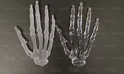 3D-печать прозрачной анатомической модели кисти руки